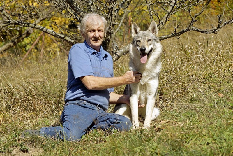 Dog Photo