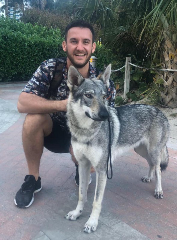 Dog Photo