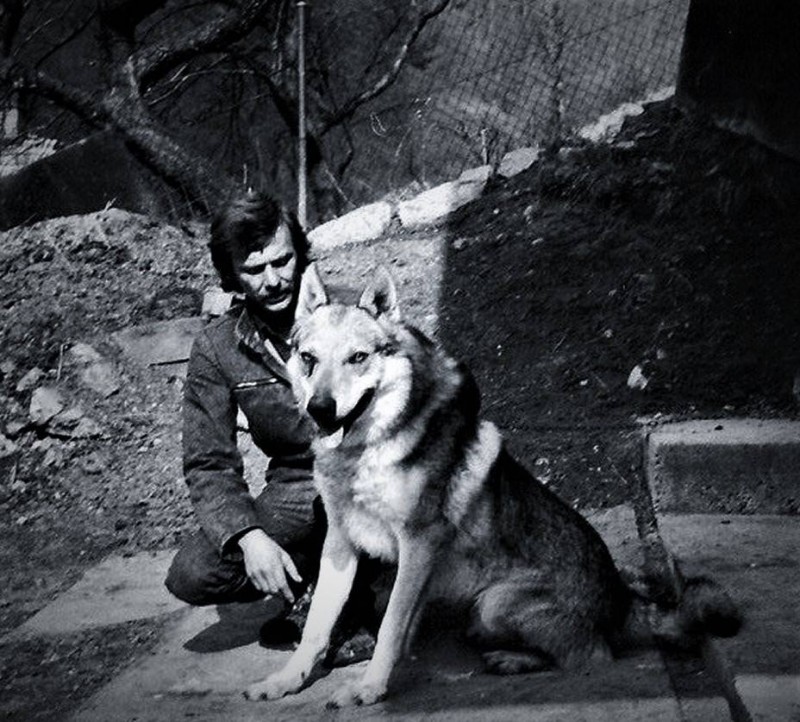 Dog Photo