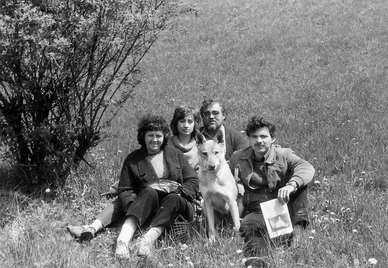 Dog Photo