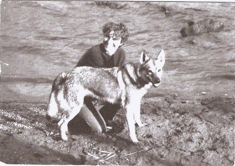 Dog Photo