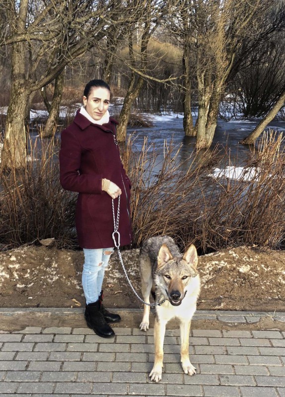 Dog Photo