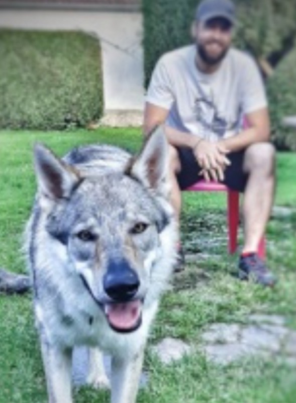 Dog Photo