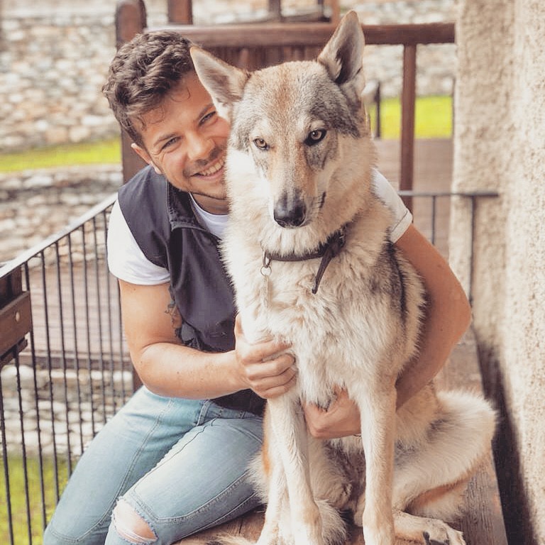 Dog Photo