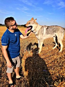 Dog Photo