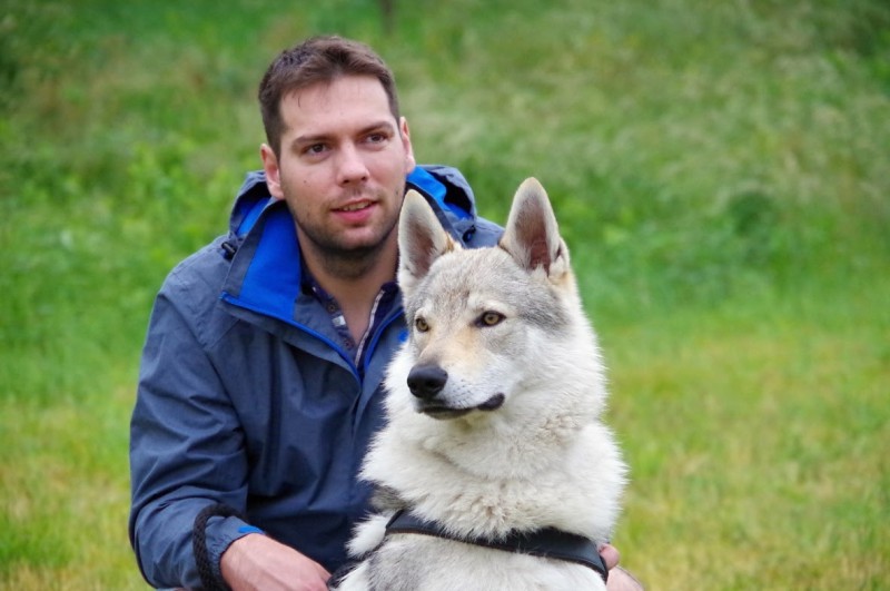 Dog Photo