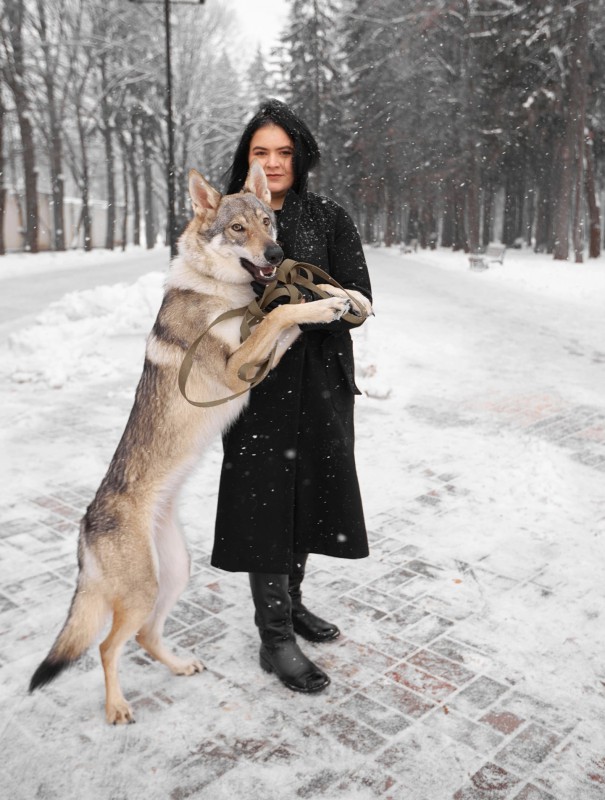 Dog Photo