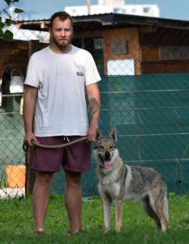 Dog Photo