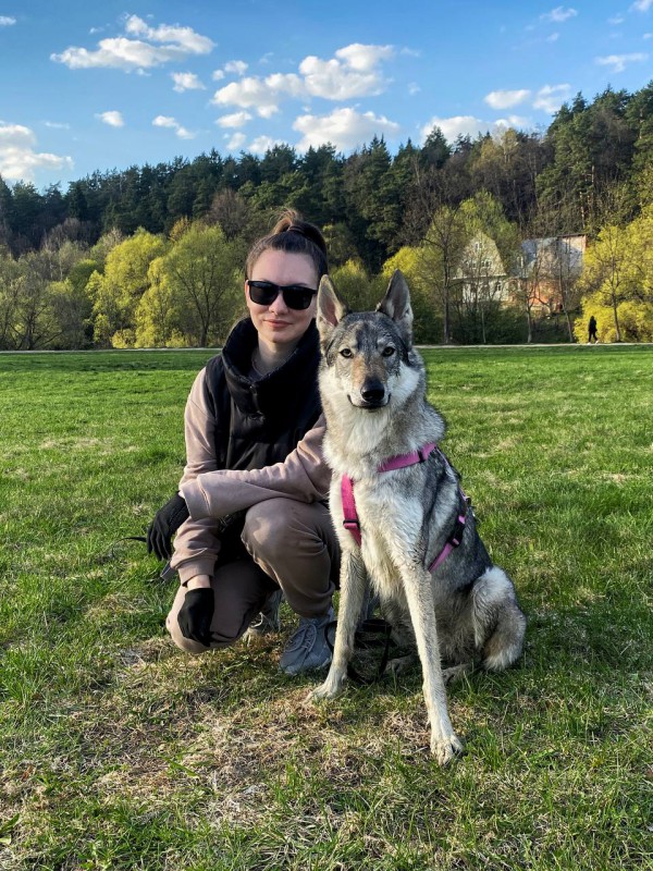 Dog Photo