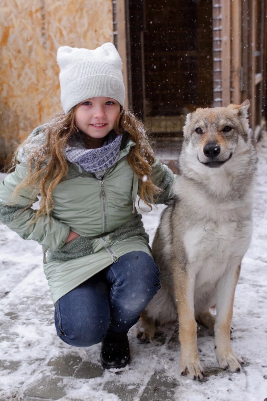 Dog Photo