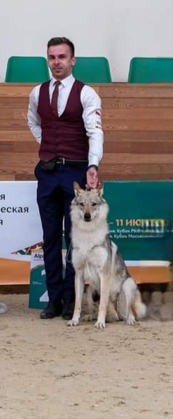 Dog Photo