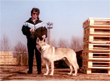 Dog Photo