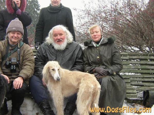 Dog Photo