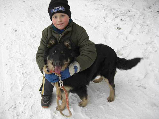 Dog Photo