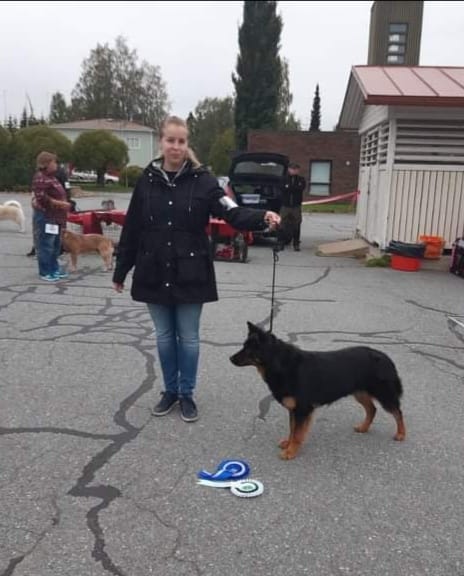 Dog Photo