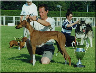 Dog Photo