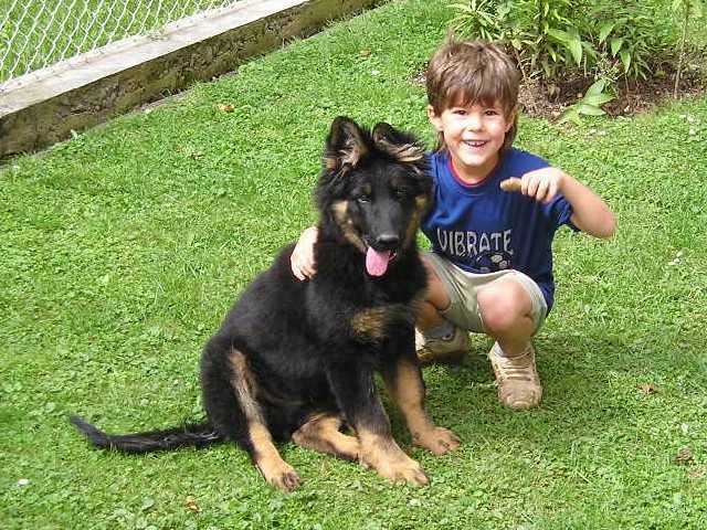 Dog Photo