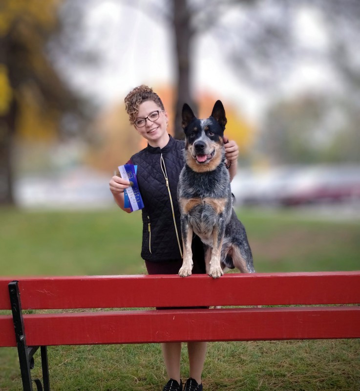 Dog Photo