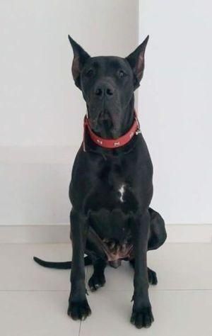 EKSPRESSIYA INNER LIGHT