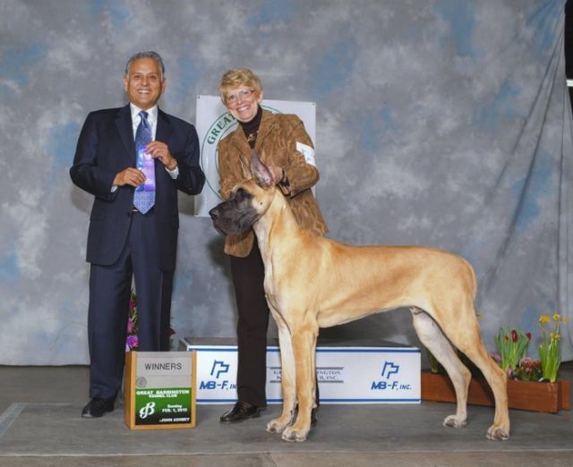 Dog Photo