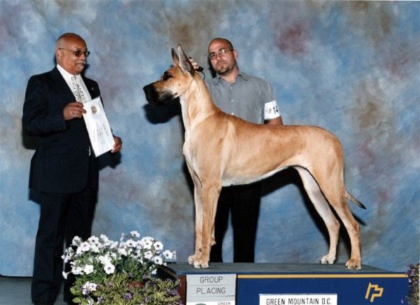 Dog Photo