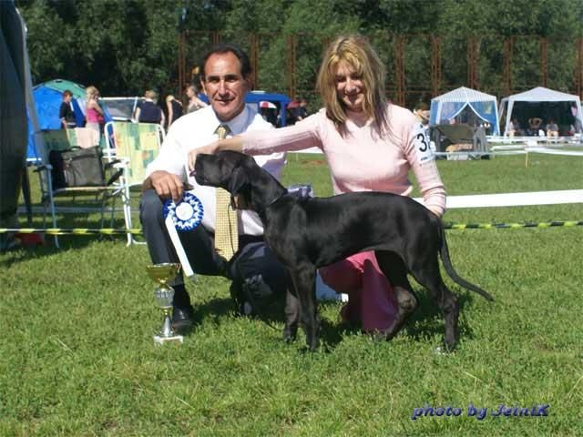 Dog Photo
