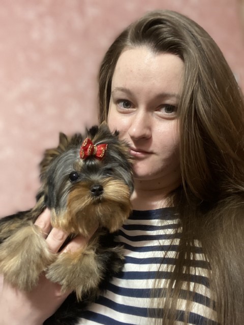 Dog Photo