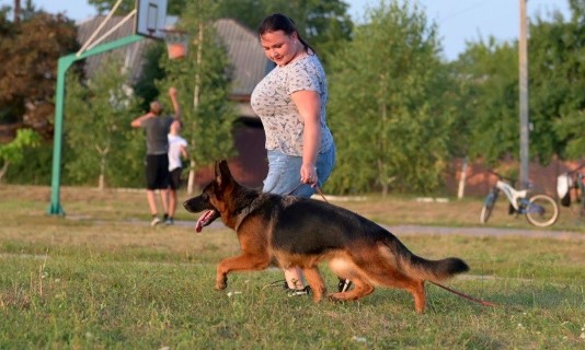 Dog Photo