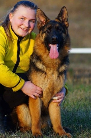 Dog Photo