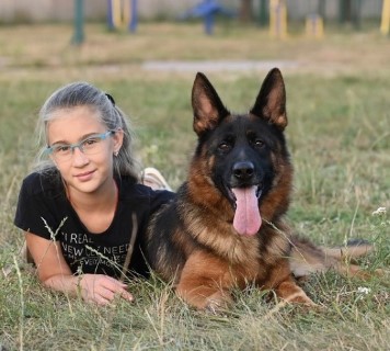 Dog Photo