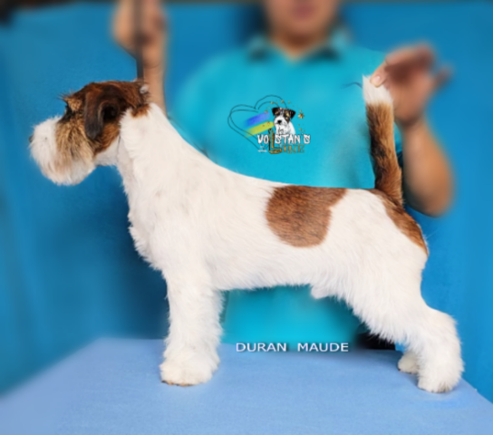 DURAN MAUDE VOLSTAN