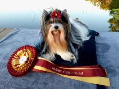 BIVA ARIJA AIVA FLOWER PRINCESS