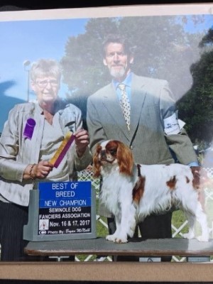 Dog Photo