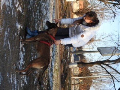 Dog Photo