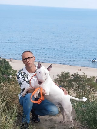 Dog Photo