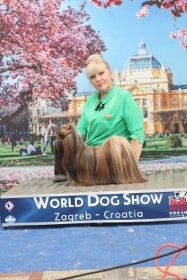 CUORE DI LIONE ERIKA WONDERFUL LADY