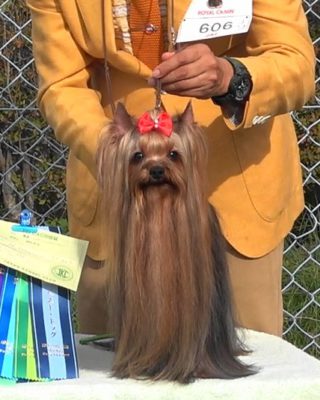 TOP SECRET OF WARRANT CLUB JP