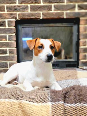 ANDREW SIMON JACK'S RAY CHARLES