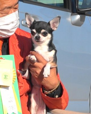 TAMAMI OF WARRANT CLUB JP