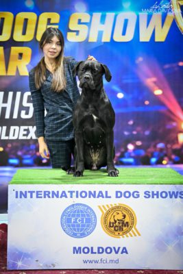 THE GUARD OF PEACE ASTA