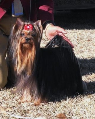 SECRET LAGOON OF WARRANT CLUB JP