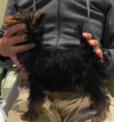 KIWAMI FUKUZO OF WARRANT CLUB JP